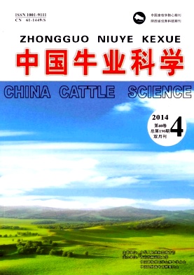 中国牛业科学